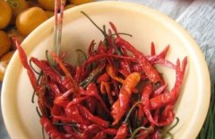 特色简单菜谱科学做法