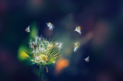 大客厅电视背景墙6米高左右的客厅，背景墙该设计布置