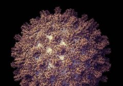 奇怪的第十名现象，成绩处于中游的孩子长大竟有大当作