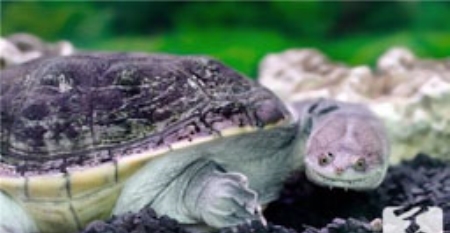 警惕!身体出现这十种情况,当心是癌