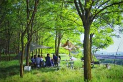 济南趵突泉大明湖一日游攻略