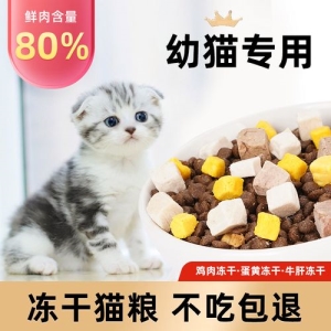 用黄帝内经思路调理猫咪尿结石 猫咪尿结石吃什么药消结石