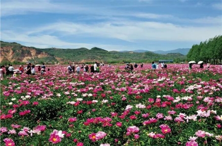 四川有什么名胜古迹旅游景点