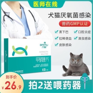 猫突然不用自己的碗吃饭