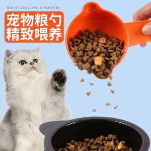 豹猫幼猫多大可以吃鱼