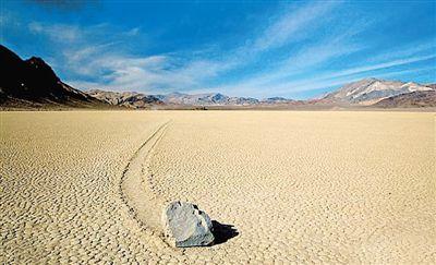 基围虾怎么保存冰箱基围虾可以放冰箱吗?基围虾怎么放冰箱储存