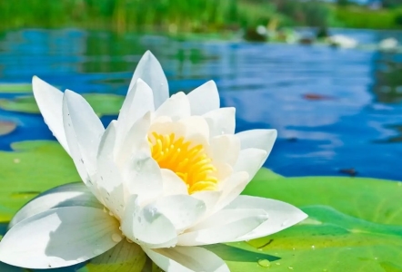 夏普电视为什么廉价了夏普电视都是86英寸为什么差4000元