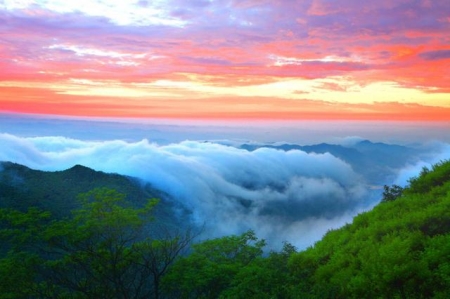 万宁电器，黄山万宁电器