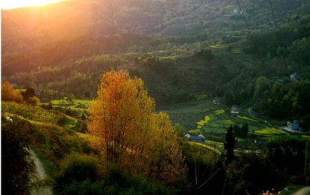 厦门957路公交线路查询