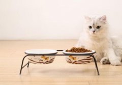 加菲猫不吃东西办？