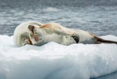 311路公交车路线站点茂名到达茂名医学院附属