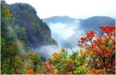 苏州公交552路班车间隔时间：实时查询更新