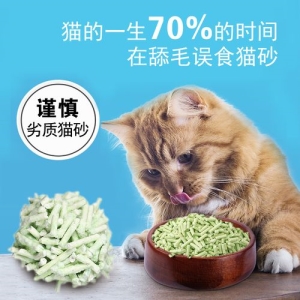 猫咪轻微中毒的症状