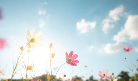 时代少年团家境排行榜 时代少年团每个人的家境如何样谁最好