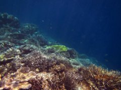 海南岛三亚旅游景点天气预报实时查询畅享旅程