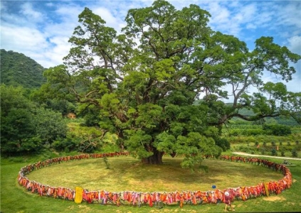 九寨沟黄龙有什么景点10大必去景点