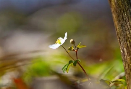 牡蛎和韭菜能一起吃吗？蚝油和韭菜能一起吃吗？