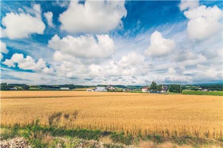 8月适合去那旅游8月最佳旅游地点