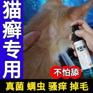 虎斑猫与银渐层杂交可以吗？