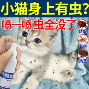 猫瘟第三天是关键时期吗？