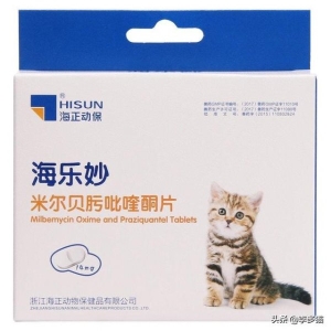 英短蓝猫容易生病吗？