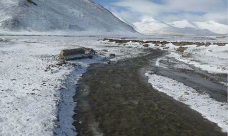 长江禁渔实施以来 水生物种总体恢复向好