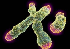 每天1把豆角身体会发生什么变化