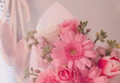 趣知识：牛奶可以加水稀释喝吗？纯牛奶可以加水稀释吗？