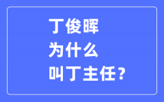 丁俊晖叫丁主任_丁俊晖一共拿过多少次冠军？