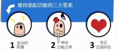 男人勃起是什么样的？男生下面硬了是什么样？